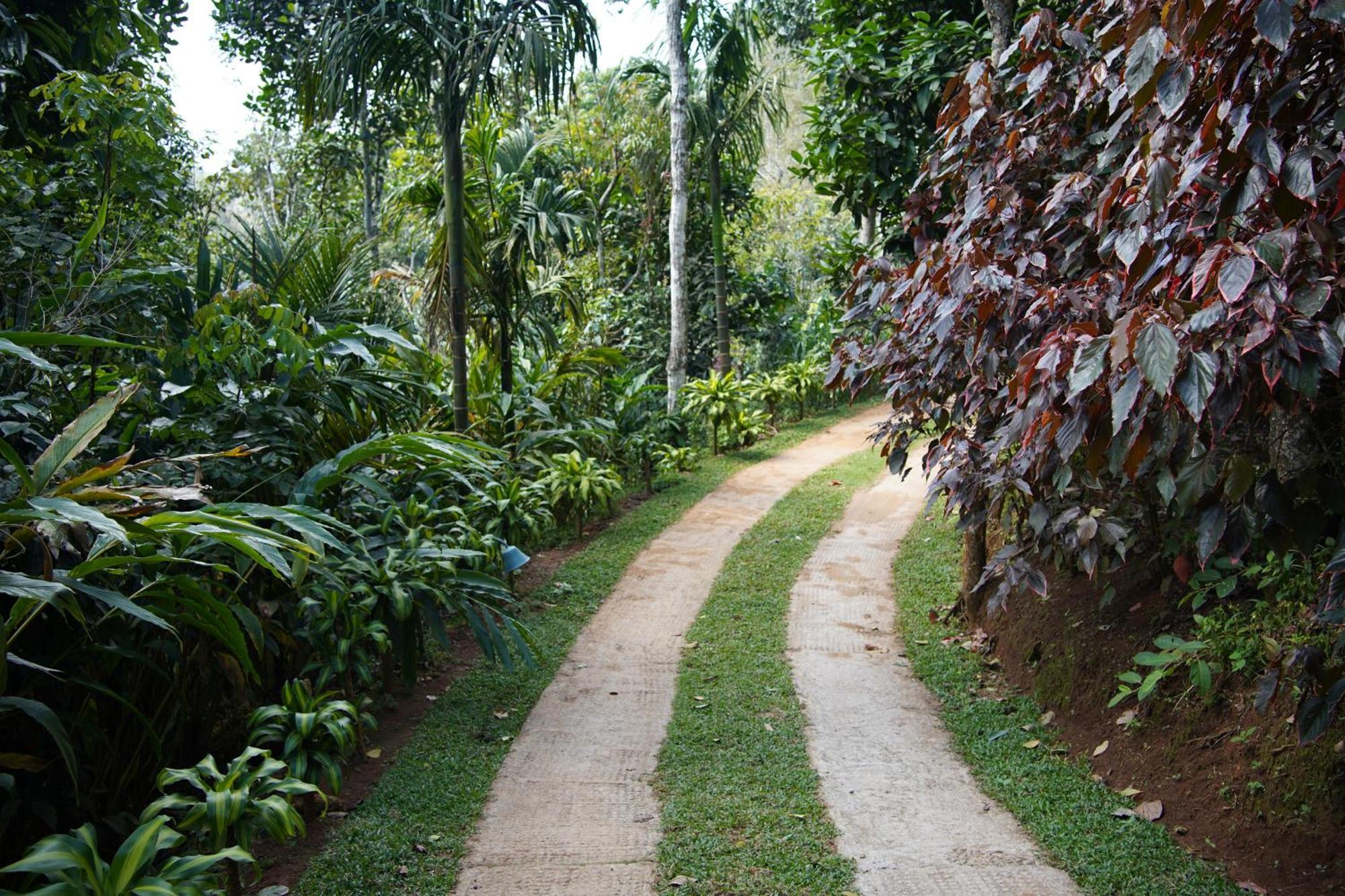 Blanket Days Resort And Spa Thekkady Dış mekan fotoğraf